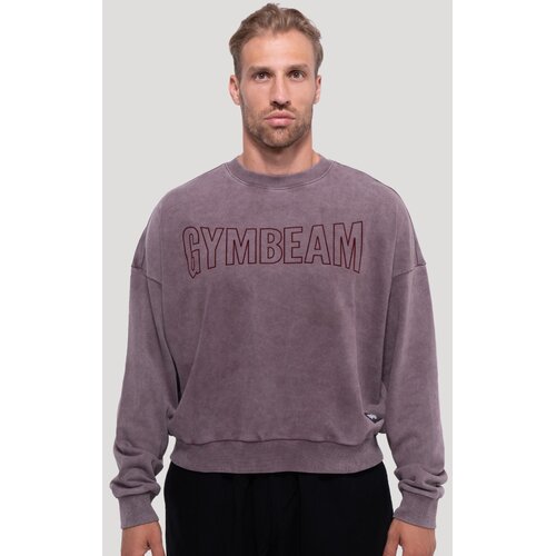 GymBeam Hoodie Persistence Washed Brown L Cijene