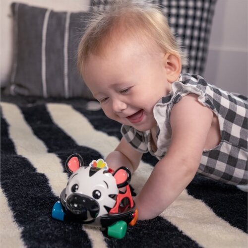 BABY EINSTEIN Zen the Zebra&amp;trade; Curious Car avtomobilček z ropotuljico 3 m+ 1 kos Slike