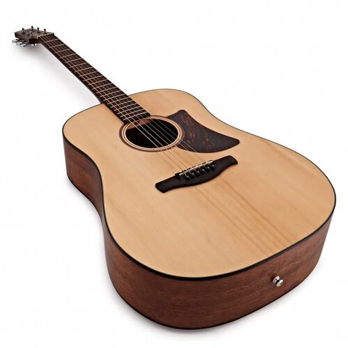 Ibanez Akustična ozvučena gitara AAD100E-OPN, Open Pore Natural Cene