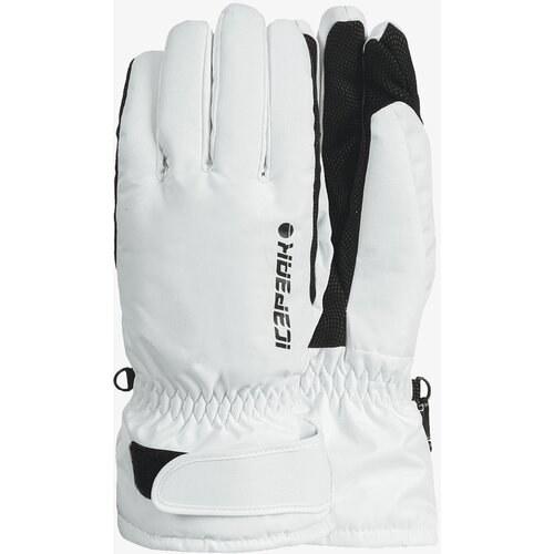 Icepeak Rukavice HAYDEN Cene