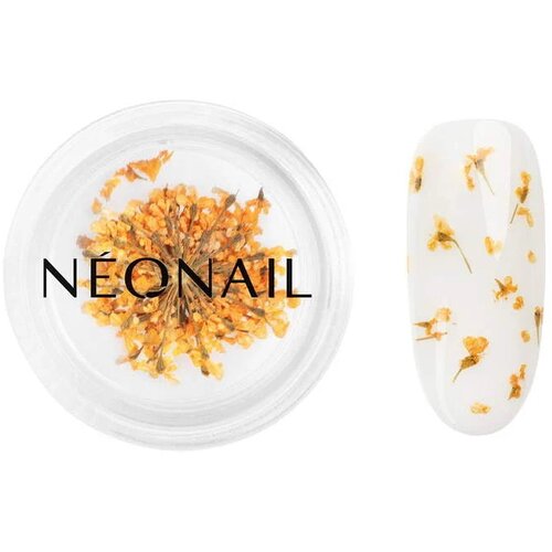  Dekorativno cvijeće za Nail Art NeoNail – 03 Orange Cijene