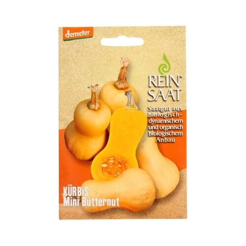 ReinSaat Jedline buče &amp;quot;Mini Butternut&amp;quot; Slike