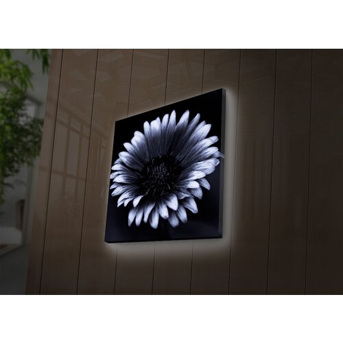 Wallity Slika sa LED osvetljenjem 4040DACT-33, 40x40 cm Cene