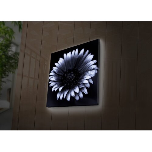 Wallity Zidna slika sa LED osvetljenjem 4040DACT-33, 40x40 cm Cijene