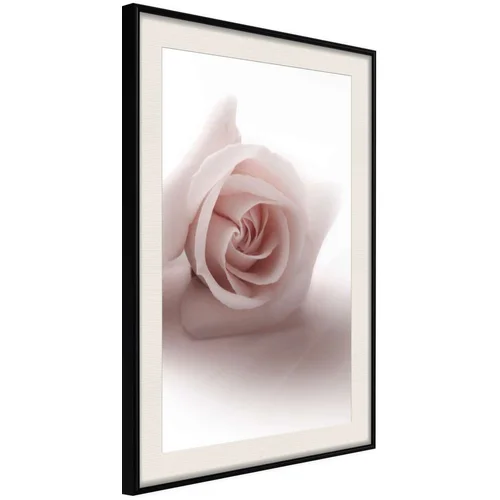  Poster - Subtle Flower 30x45