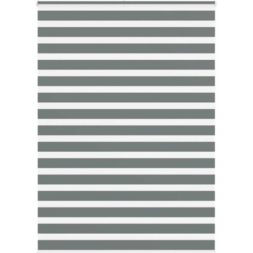 vidaXL Zebra senčilo temno sivo 155x230 cm širina blaga 150,9 cm poliester, (5000297342) Cene