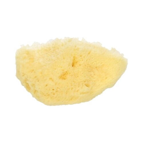 Koutouzis Natural Sea Sponges Prirodna spužva "Silk" - ca. 7.5 cm Cijene