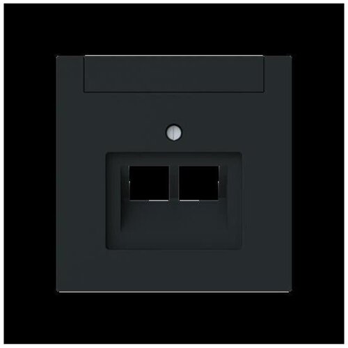 Busch-Jaeger Centralni disk 2-gang, ZAE 1803-02-45M, (20890554) Cene