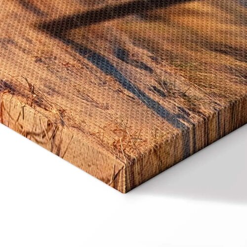  Slika - Sunset Path 135x45 Standard Slike