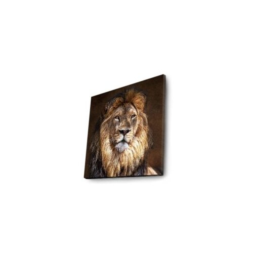 Wallity Slika na platnu sa LED osvetljenjem 40x40cm Slike