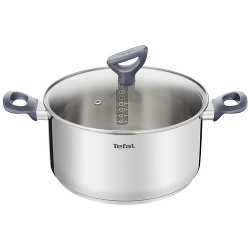 Tefal lonac s poklopcem Daily Cook G7124645, 24 cm Cene