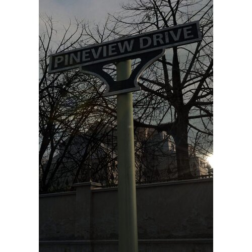 Steam Pineview Drive Key GLOBAL Cene