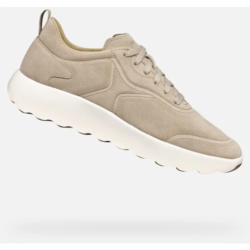 Geox Beige men's sneakers Xtors - Men's