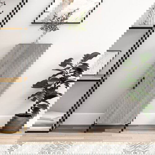 The Living Store Komoda siva sonoma 34,5x34x90 cm inženirski les - Komoda, (21662748) Cene