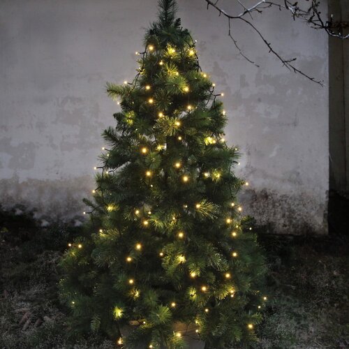Star Trading Svetlobna veriga število žarnic 160 ks dolžina 200 cm Serie LED – Cene