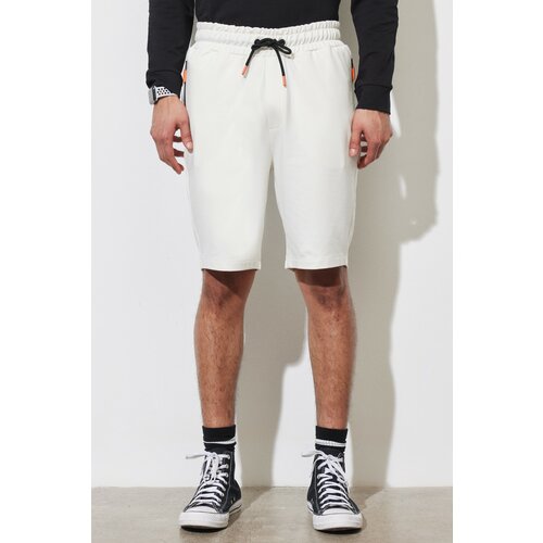 ALTINYILDIZ CLASSICS Men's Ecru Standard Fit Regular Fit Cotton Pocket Shorts Slike