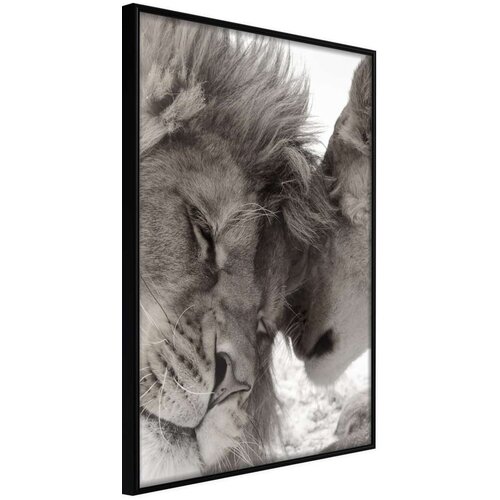  Poster - Predatory Couple 30x45 Slike