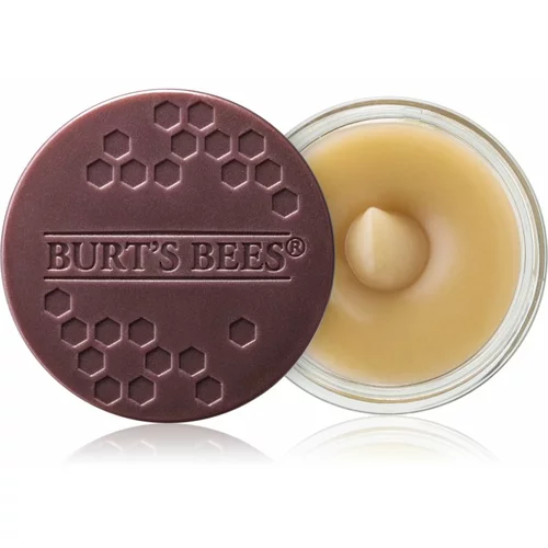 Burt's Bees Lip Scrub piling za usne s hranjivim učinkom 7.08 g