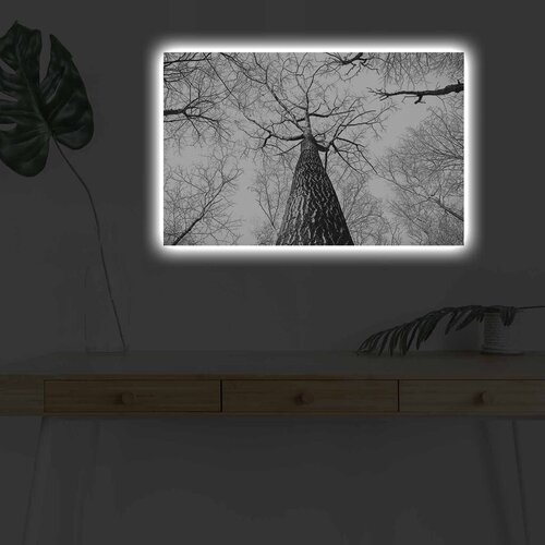 Wallity Zidna slika sa LED osvetljenjem 4570DHDACT-068, 45x70 cm Cijene