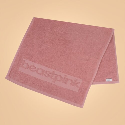 BeastPink Mini sportski pe&scaron;kir Pink Cene