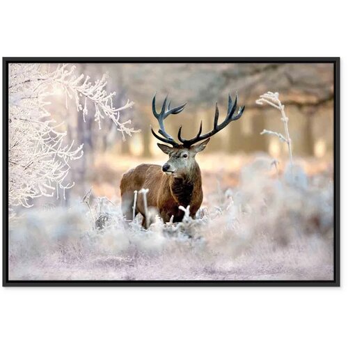  Slika - Deer in the Cold 60x40 U crnom drvenom okviru Cene