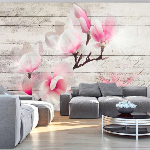  tapeta - Gentleness of the Magnolia 100x70