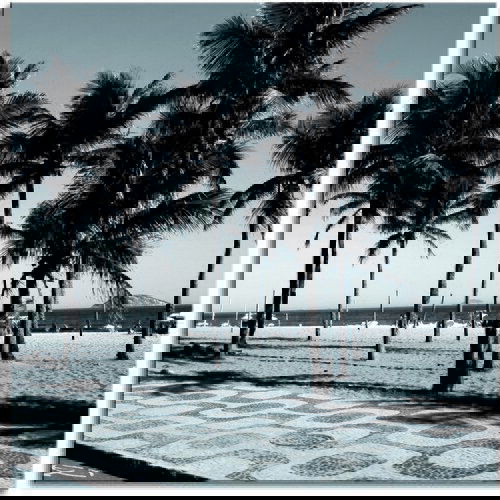 Pintdecor Zidni ukras Palme in bianco e nero Cene