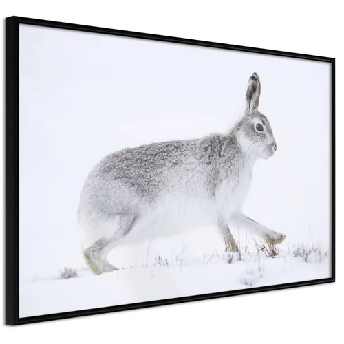  Poster - Escape in the Snow 60x40