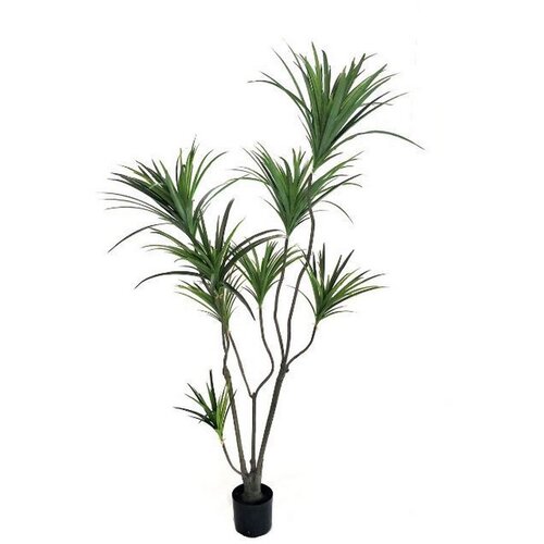  Umjetno drvo dracena 180 cm Cijene