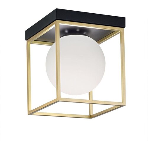 Toolight Plafonjera Gold White APP1166-1C Cijene