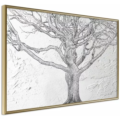  Poster - Tangled Branches 45x30