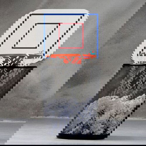 Košarkaški obruč za koš za smeće Cene