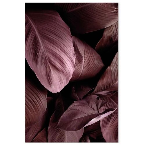  Slika - Velvet Leaves (1 Part) Vertical 60x90 Slike