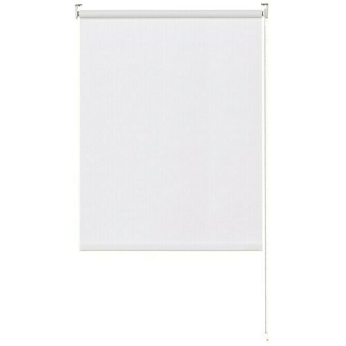 EXPO AMBIENTE Rolo (Š x V: 60 x 150 cm, Bijele boje, Propusno za danje svjetlo) Cijene
