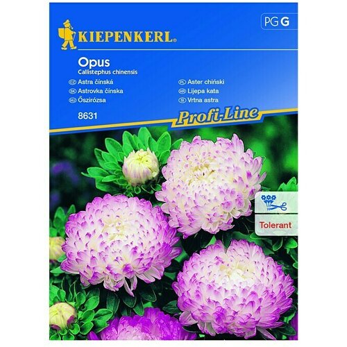 KIEPENKERL Profi-Line Cvetlična semena Vrtna astra Opus (Callistephus chinesis, Roza, Bela) Cene