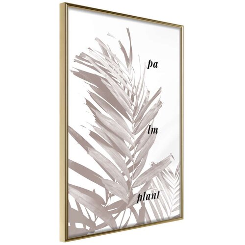  Poster - Beige Palm 30x45 Slike