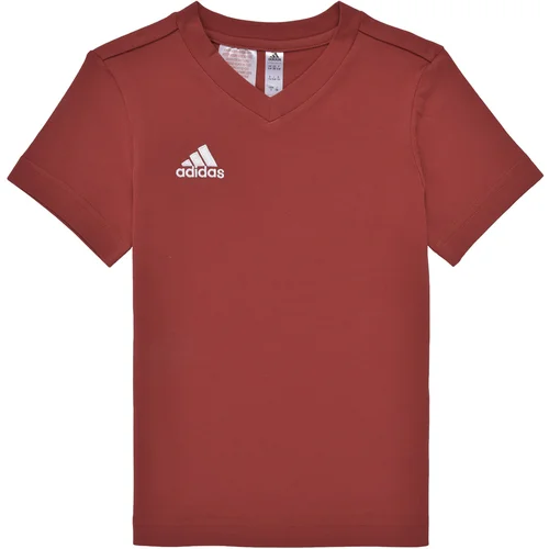 Adidas ENT22 TEE Y Crvena