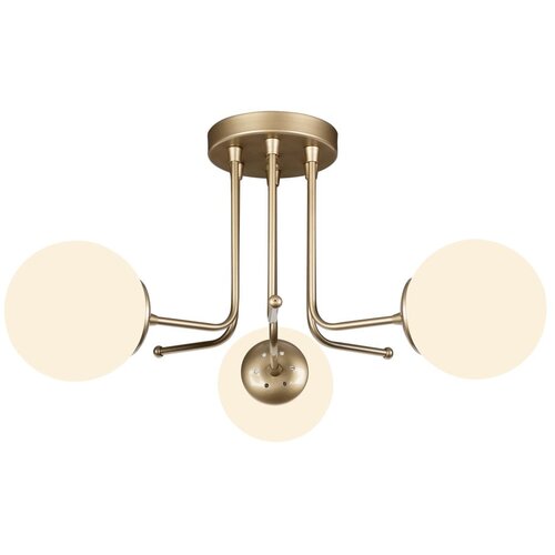 Squid Lighting stropna lampa u zlatnoj boji Star, visina 34 cm Cijene