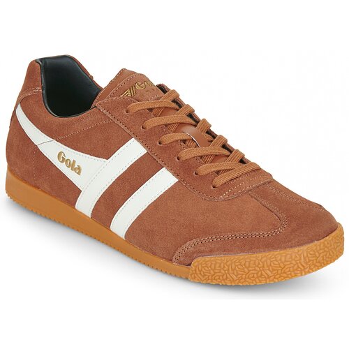 Gola HARRIER Smeđa Slike