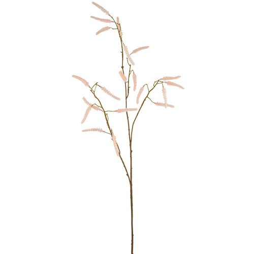 M&amp;ouml;max Umetna Rastlina Acalypha I Slike
