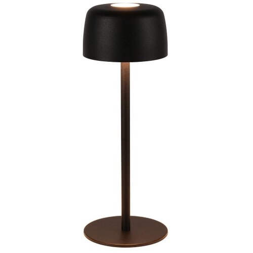 Zuma line ETLED-658-BK - LED prigu&amp;scaron;iva punjiva lampa POCO LED/2W/1200 mAh IP44 crna Slike