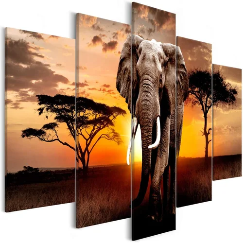  Slika - Wandering Elephant (5 Parts) Wide 225x100