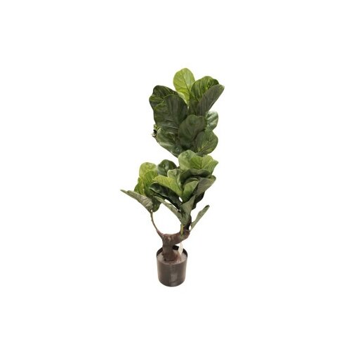 Dekordom Cvet u saksiji - ficus a1023 - n60 ( 025145 ) Slike