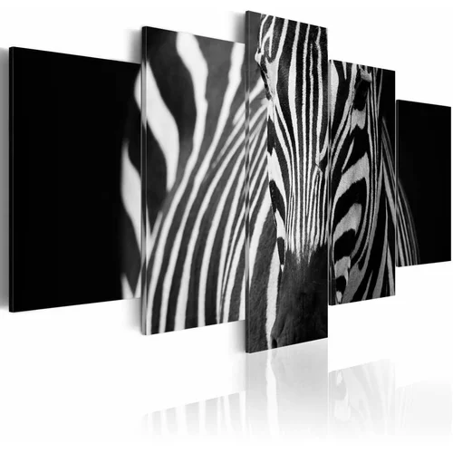  Slika - Zebra look 100x50