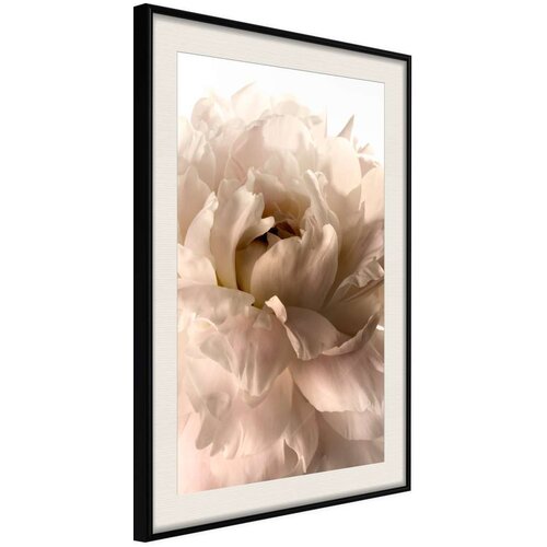  Poster - Bloom 30x45 Slike