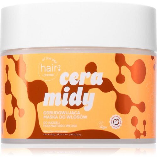 OnlyBio Hair Of The Day Ceramides Regenerating Hair Mask obnavljajuća maska s ceramidy a peptidy 280 ml Cene