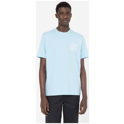 Dickies Bayside gardens tee ss Plava Slike