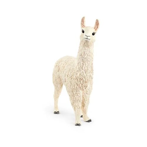  13920 - Farm World - Lama Cene