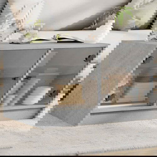  The Living Store Klubska mizica s steklenimi vrati betonsko siva 68x50x42 cm - Klubska Mizica, (21453449) Slike