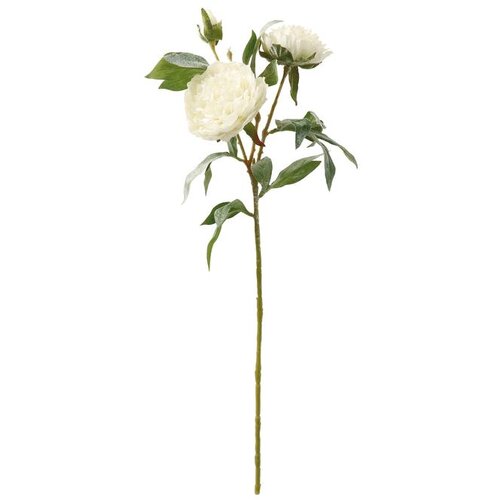  PEONIJA 74CM BIJELA 85889 Cene